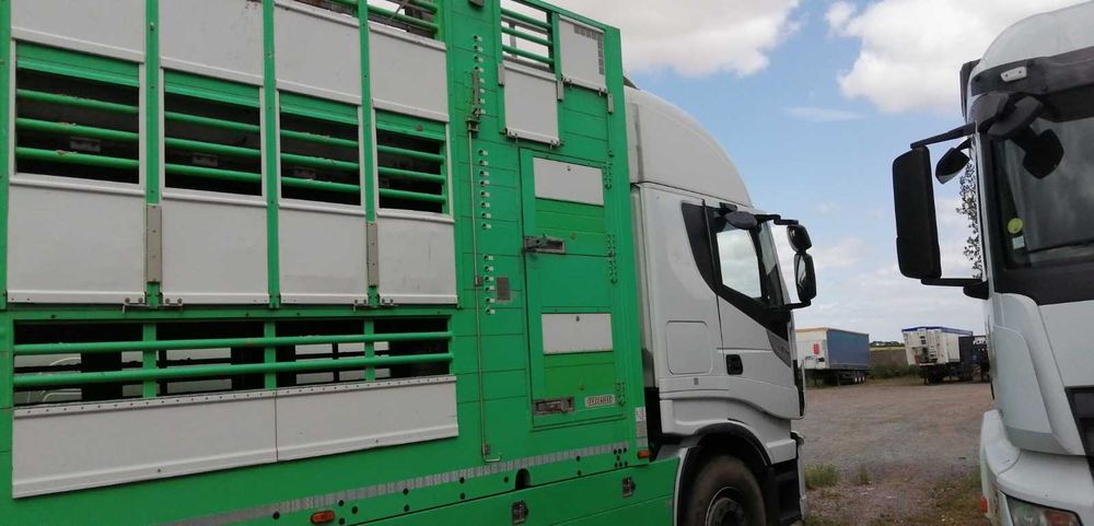 Iveco