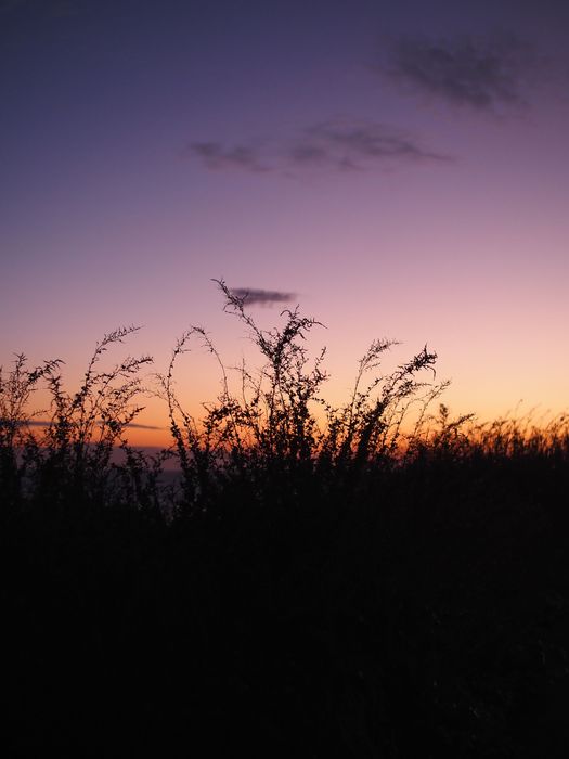 Ofereço sessão fotográfica Lisboa