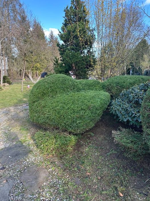 Wycinka drzew, prześwietlenie, pielęgnacja ogrodów prace w ogrodzie