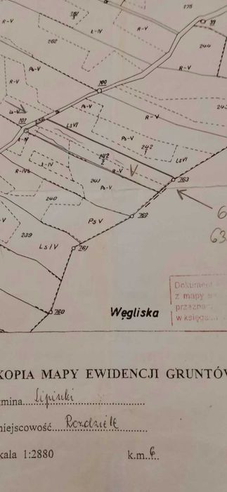 Działka rolna Rozdziele gmina Lipinki uzdrowisko - Widok 2