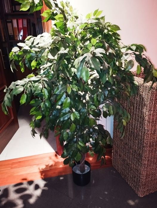 Mini árvore em suporte de verga