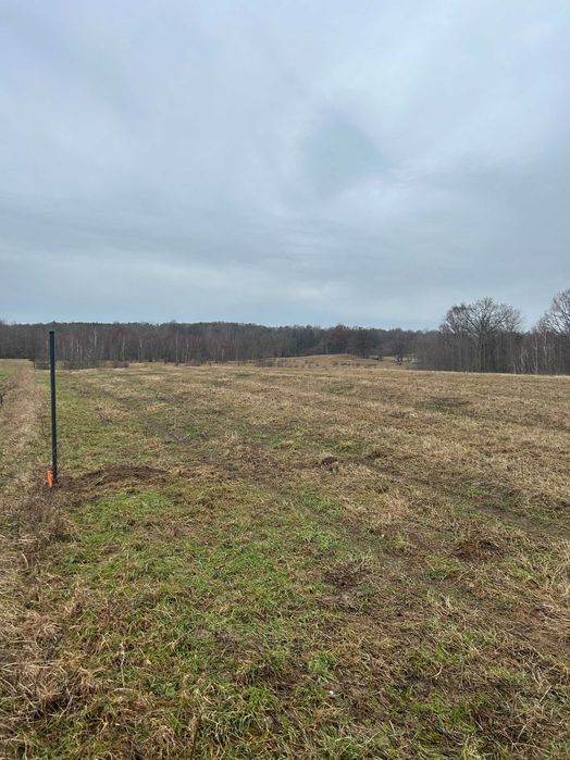 Malownicza działka nad Jeziorem Siecino - 8000m2