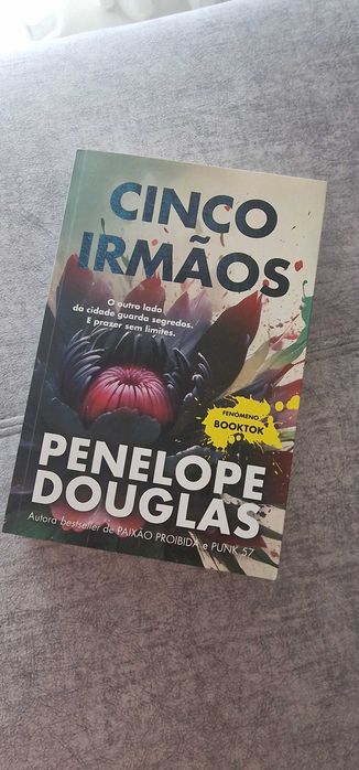 Livro cinco irmãos