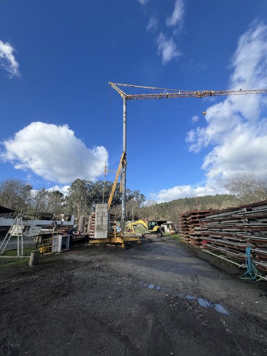 Grua automontante potain hd 26