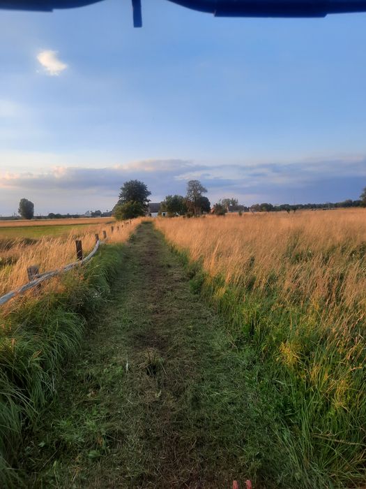 Mulczowanie,koszenie