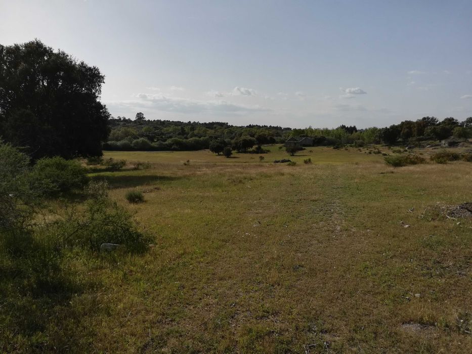 Terreno ideal para refugio de campo, Nisa