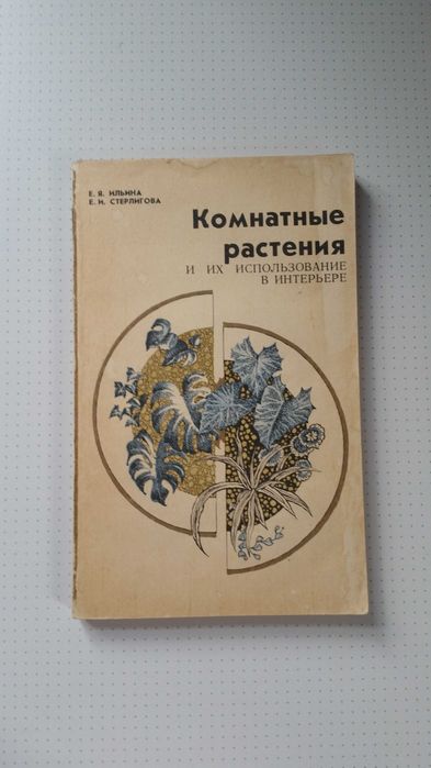 Комнатные растения