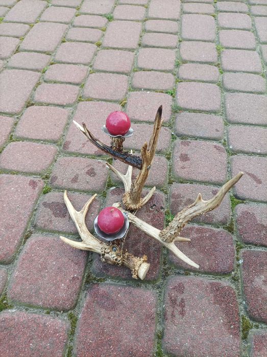 Świecznik z Poroży Rogów