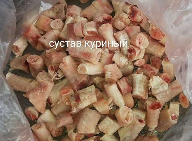 Суглоб курячий Сустав куриный.    Субпродукти   субпродукты.