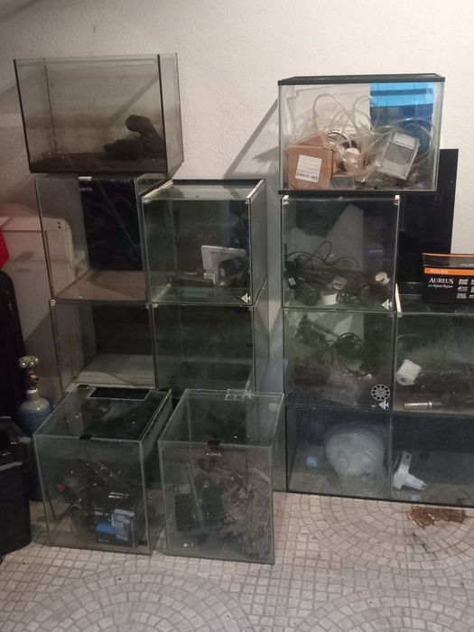 Vendo aquarios todos com tampa e varios tamanhos