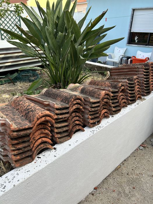 Telha luso ceramica 12