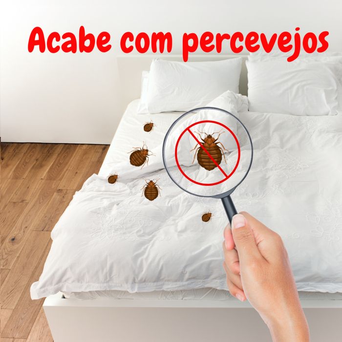 Desinfestacao PERCEVEJO BARATAS RATOS TERMITAS PULGAS