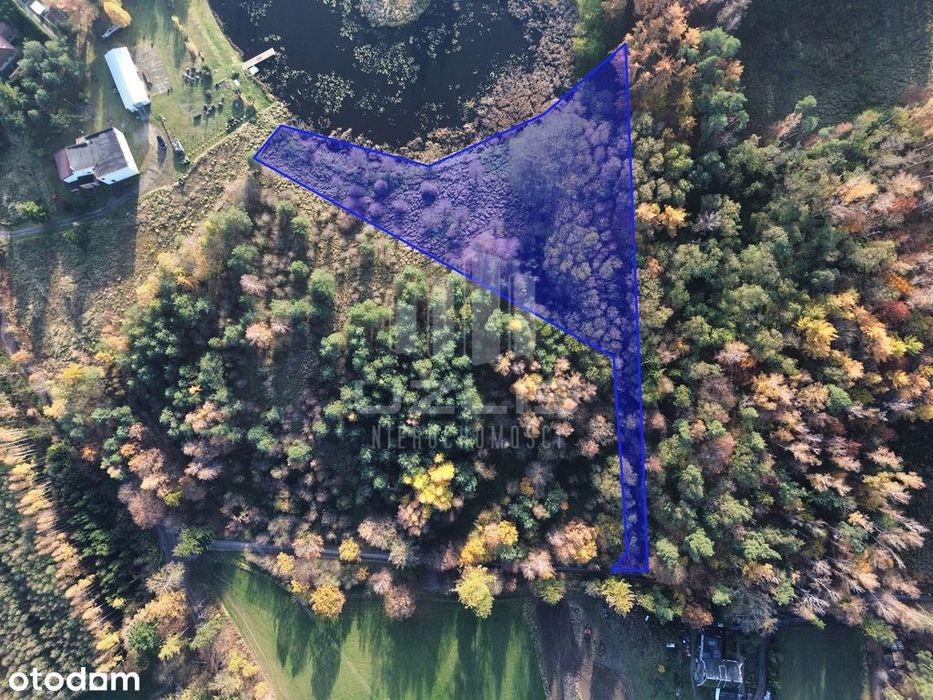 Działka 5000 m² | Widok na wodę | Las - View 4