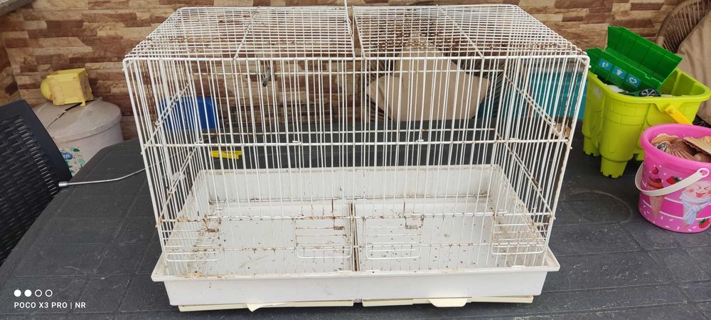 Gaiola grande de criação