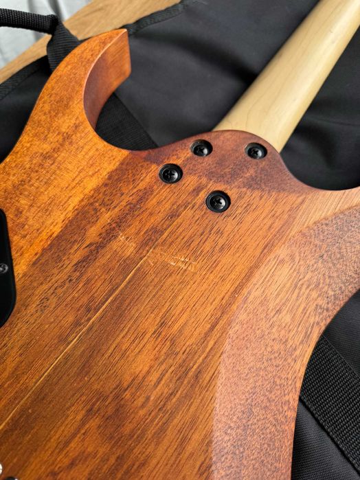 Електрогітара IBANEZ RG421 MOL