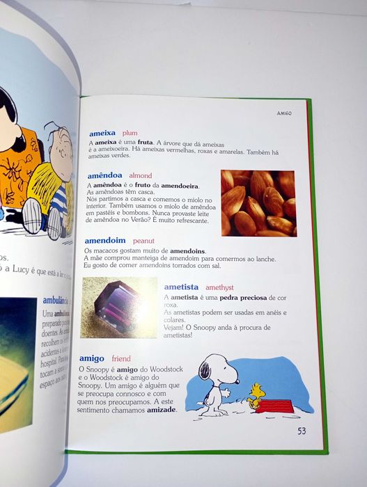 O Dicionário de Charlie Brown - N1