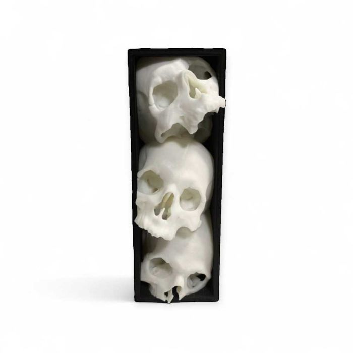 Book Nook Czaszki Zakładka do Książek Regał Gotyk Druk 3D