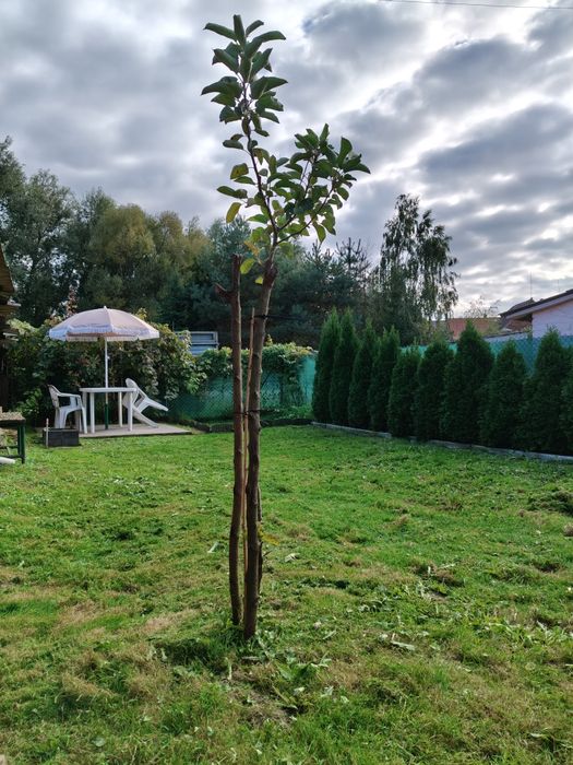 Sprzedam mieszkanie 800m od Trzebnicy