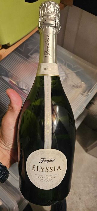 Espumante champanhe - 6 garrafas - várias marcas