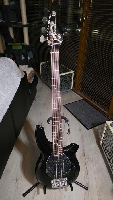 Gitara Basowa Musicman Bongo 5 HH Black