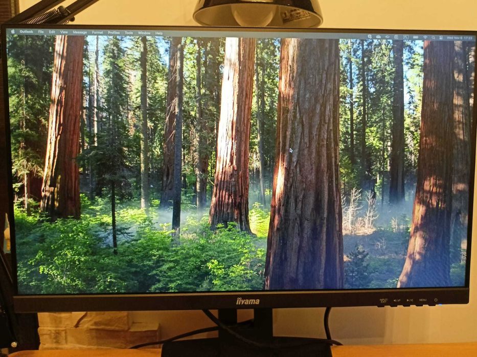 Obrotowy Monitor iiyama ProLite 24