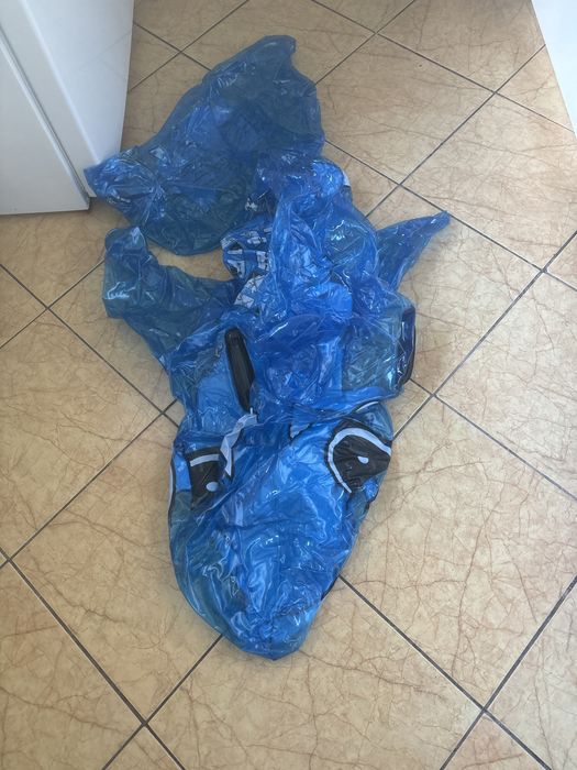 Delfin do pływania