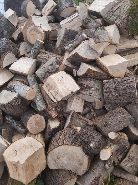 Drewno opałowe,jesion, sosna, brzoza,buk, transport