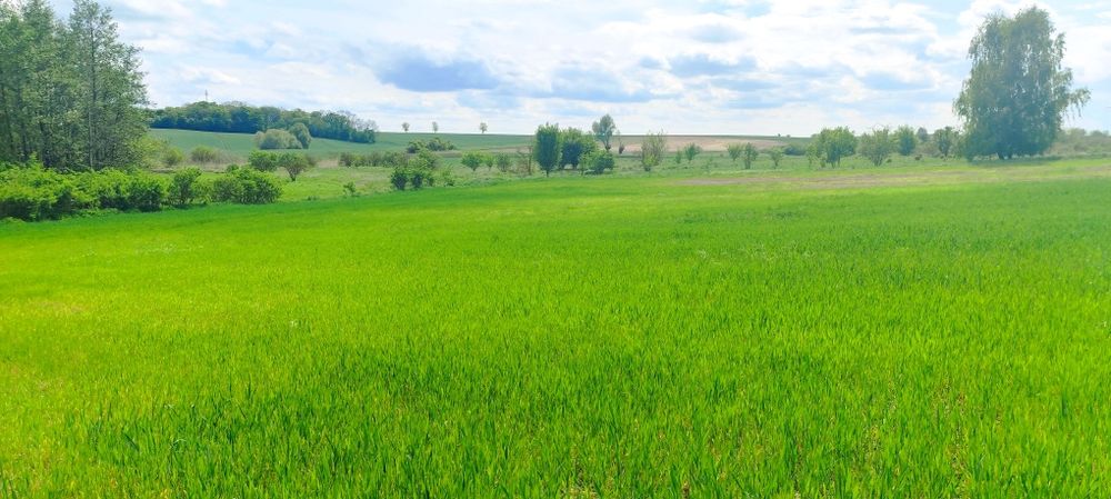 Działki na sprzedaż - Widok 2