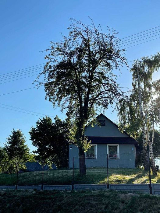 Domek na Roztoczu, Wynajem, agroturystyka