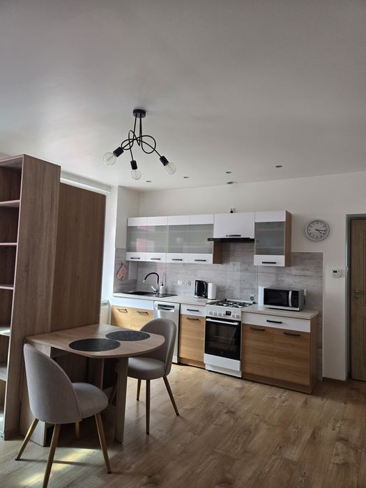 Mieszkanie 48,43 m2 na wynajem, Katowice Śródmieście bez prowizji i czynszu