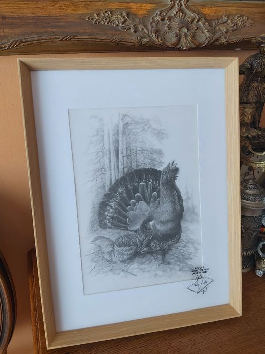 Piękna DUŻA grafika myśliwska łowiecka Głuszec. Prezent dla myśliwego