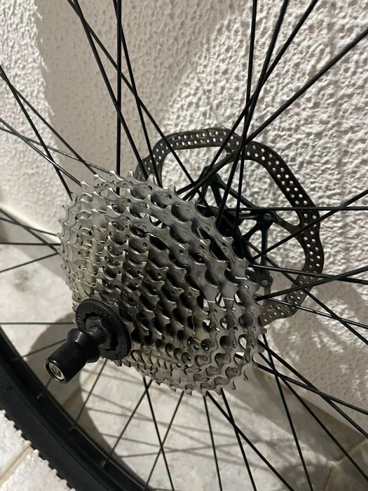 Rodas 29 como NOVAS