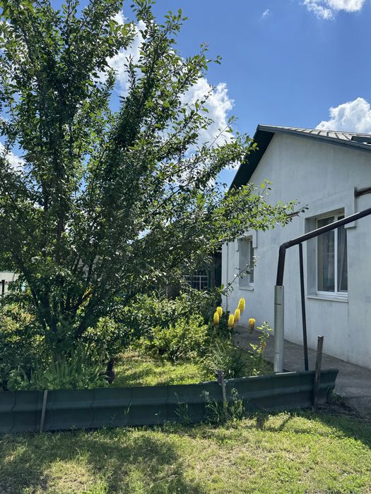 Будинок село Шандра обухівський район
