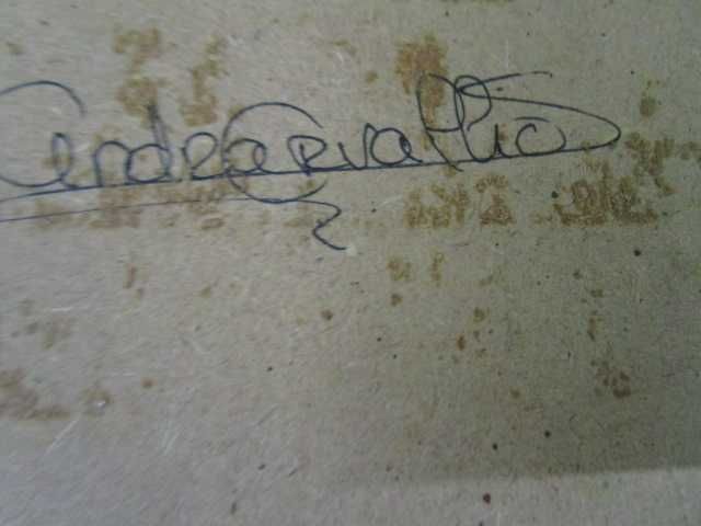 quadro antigo desenho com moldura  andreia carvalho ?