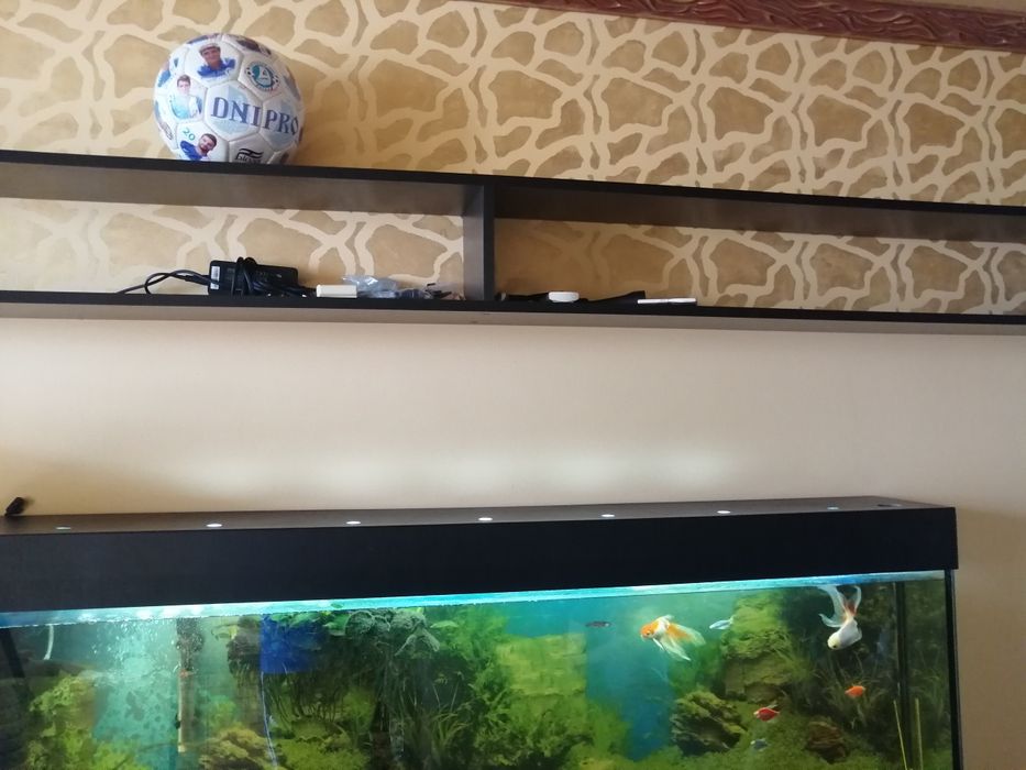 Акваріум на 120 літрів