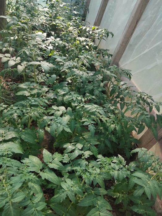 Продажа дома срочно