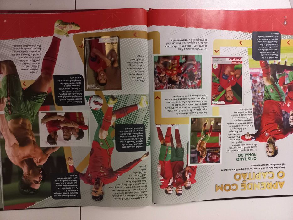 Caderneta completa Fome de vencer 2022