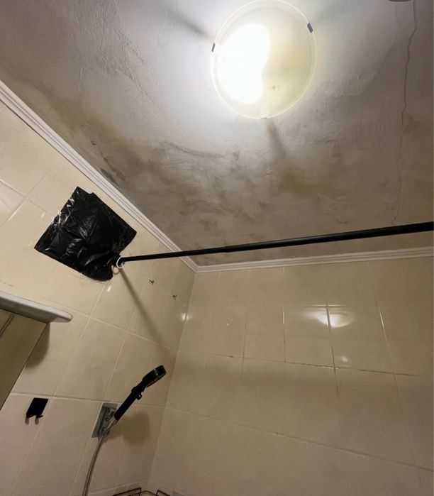 Професійне знищення тарганів блох клопів мишей щурів мурах ос