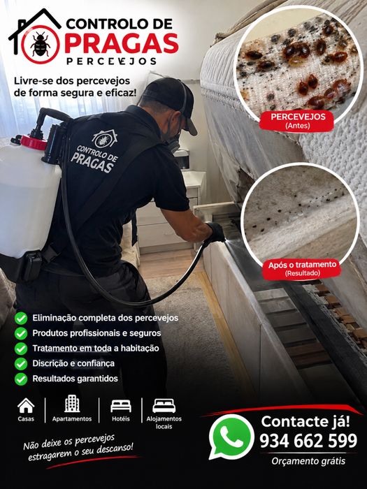 Controle de pragas, percevejos, baratas, formigas