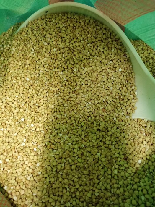 Kasza gryczana, biała, nie palona