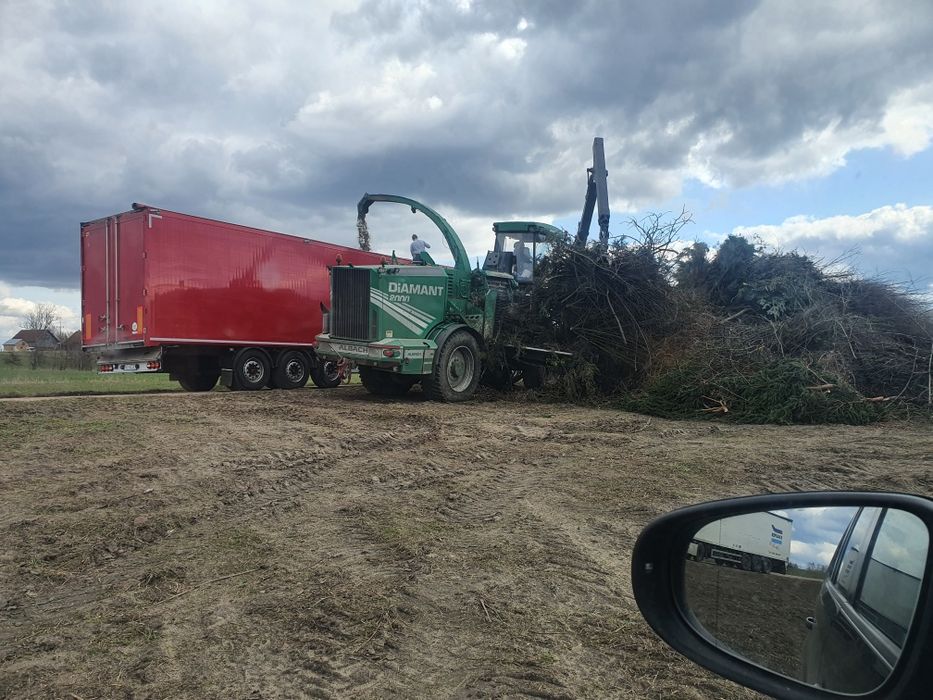 Wycinka drzew, samosiejek, czyszczenie działek.