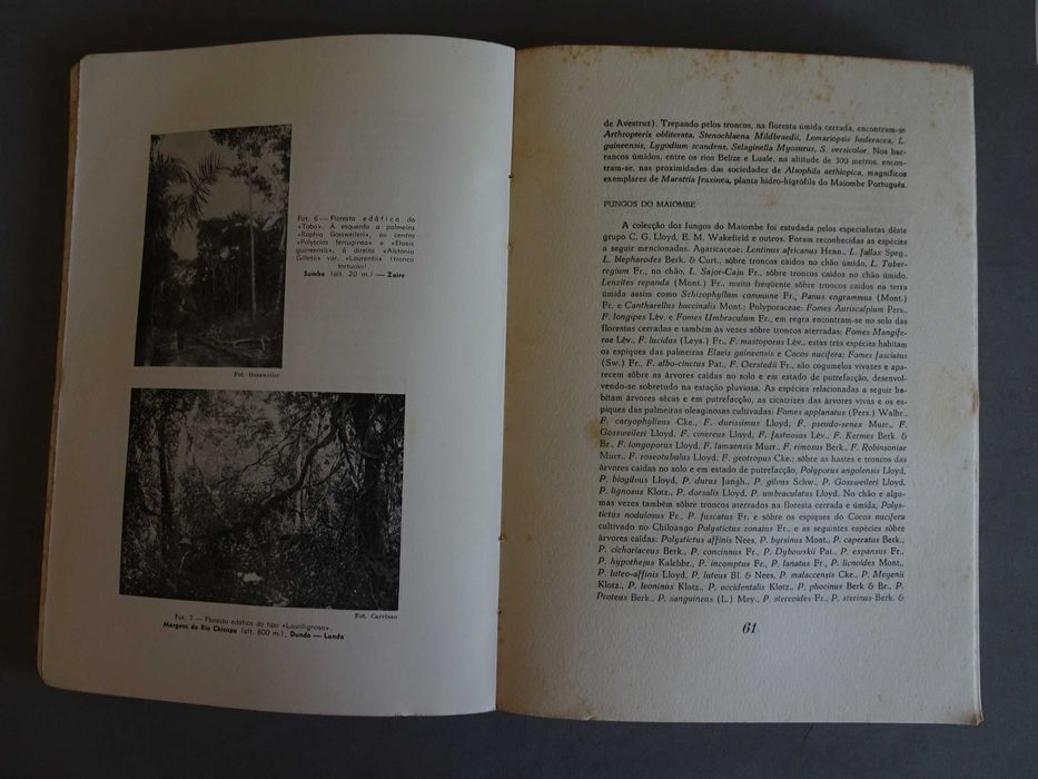 Livro Carta Fitogeográfica de Angola 1939 República Portuguesa Ministério das Colónias