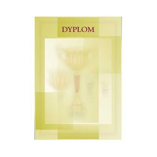 Dyplom papierowy - Puchary DYP7