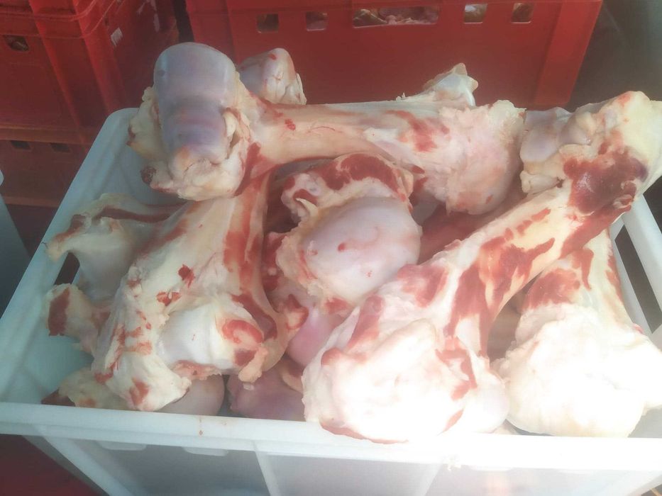 kości wołowe szpikowe szpik