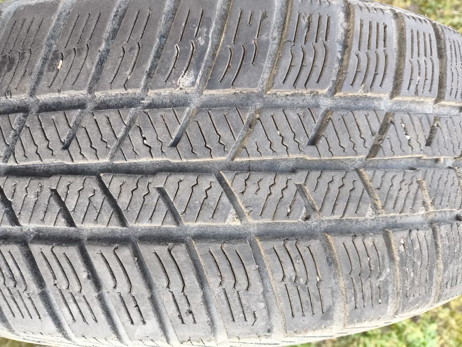 Opona zima Barum Polaris 5 195/65/15