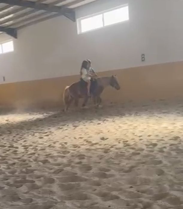 Ponei montado a dar aulas