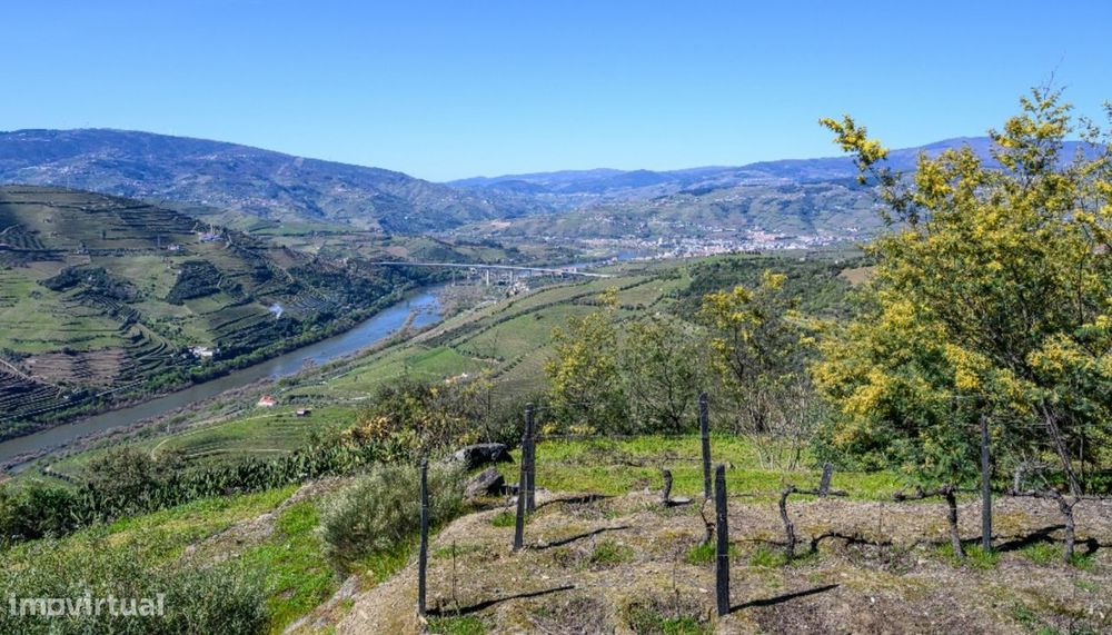 Quinta vínicola à venda no Peso da Régua no Douro Valley