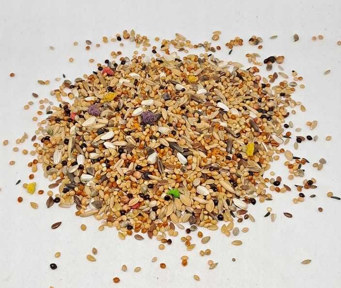 Karma dla Średnich Papug MDM bez Słonecznika 10 kg ZE ŚWIEŻYCH DOSTAW