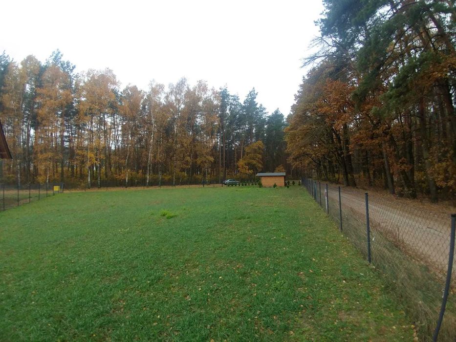 Działka pod dom – 970 m², prąd, otoczona lasem
