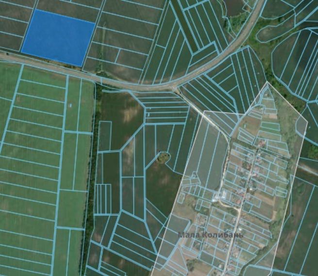 Фото ділянки